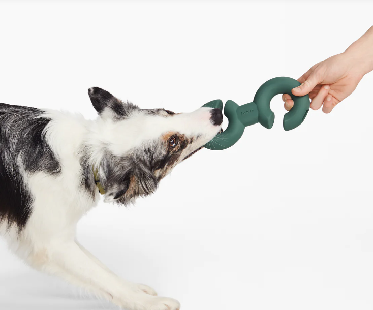 Screen Shot 2023-12-16 at 1.44.20 PM